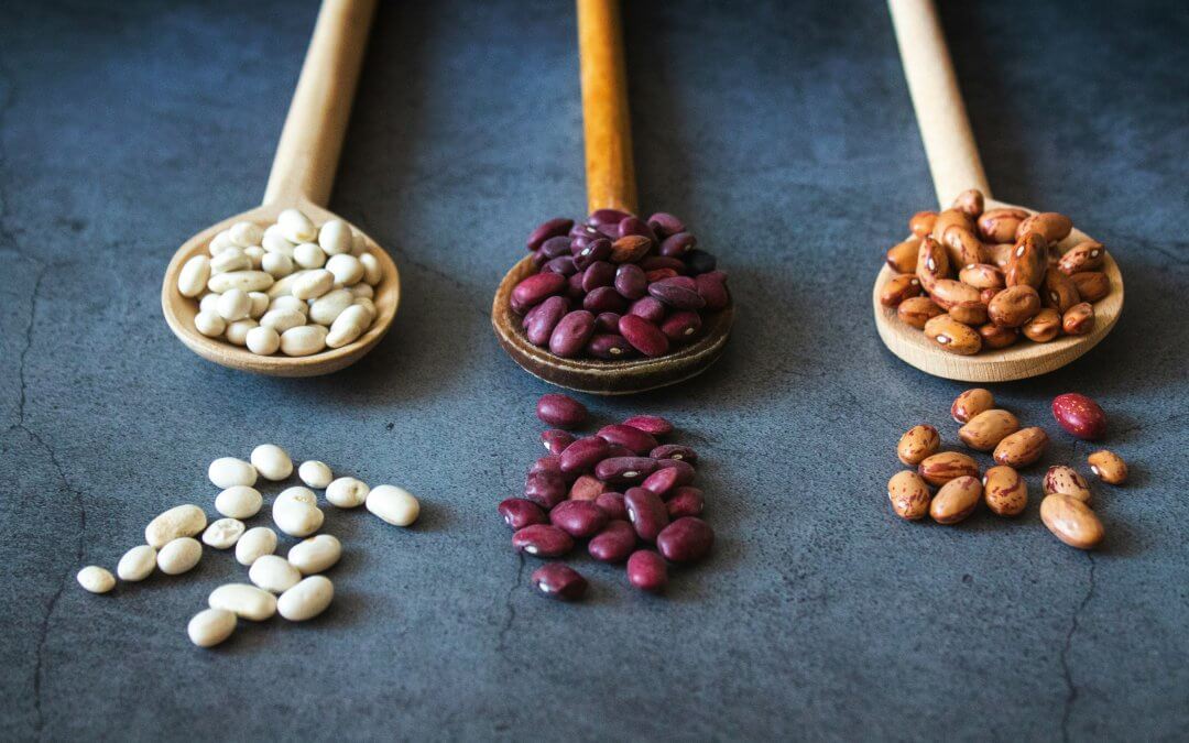 Best Pinto Beans Substitutes: 9 Tasty Alternatives To Try