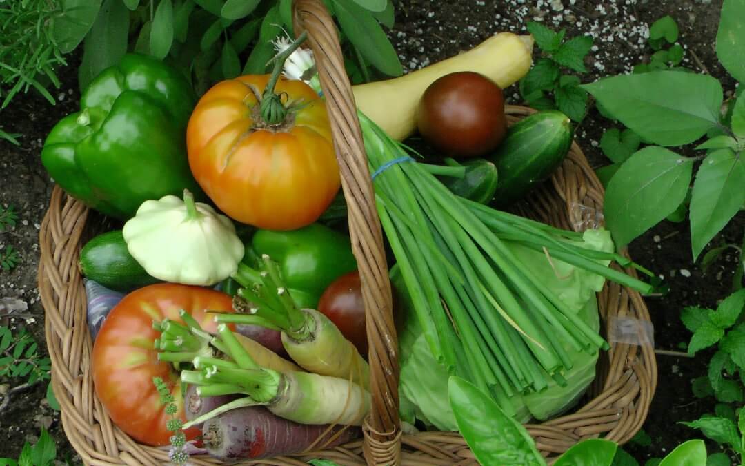 High Volume, Low Calorie Foods To Keep You Full & Satisfied